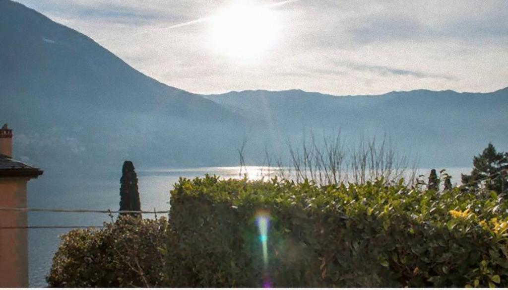 Appartamenti La Porta Sul Lago Laglio Ngoại thất bức ảnh